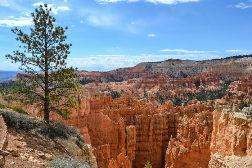bryce-canyon-national-park_27153135140_o
