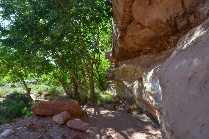 capitol-reef-national-park_26820683564_o