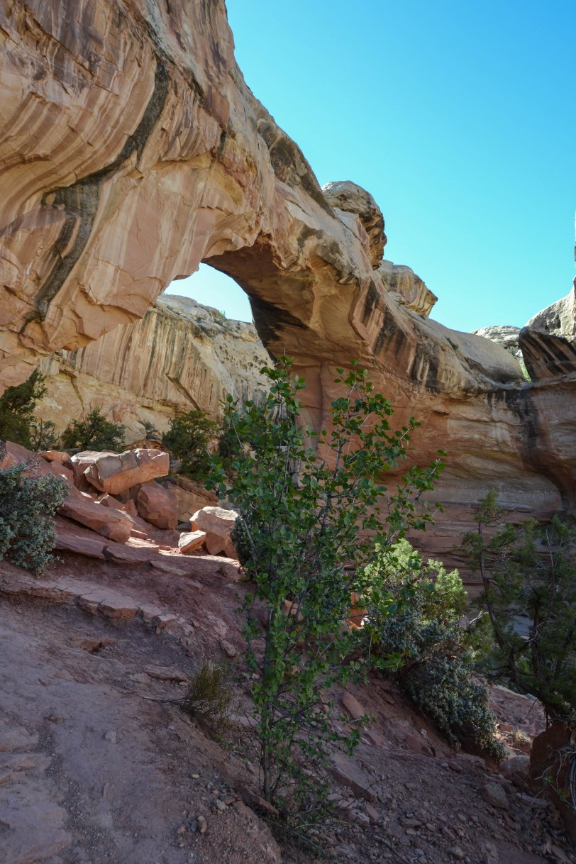 capitol-reef-national-park_26820684804_o