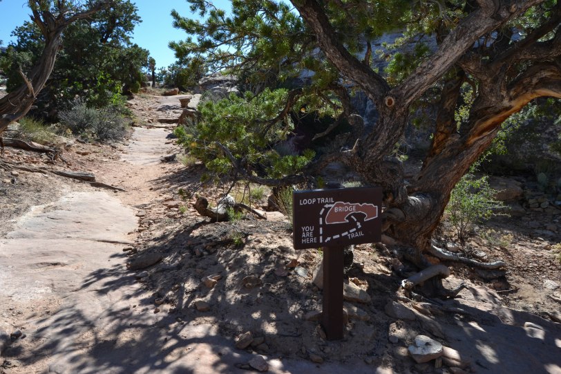 capitol-reef-national-park_26820685624_o