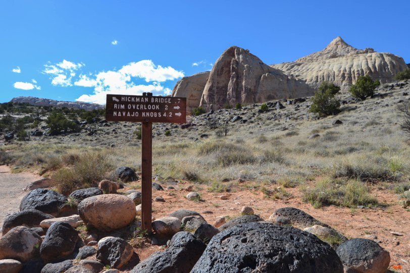 capitol-reef-national-park_26820686234_o