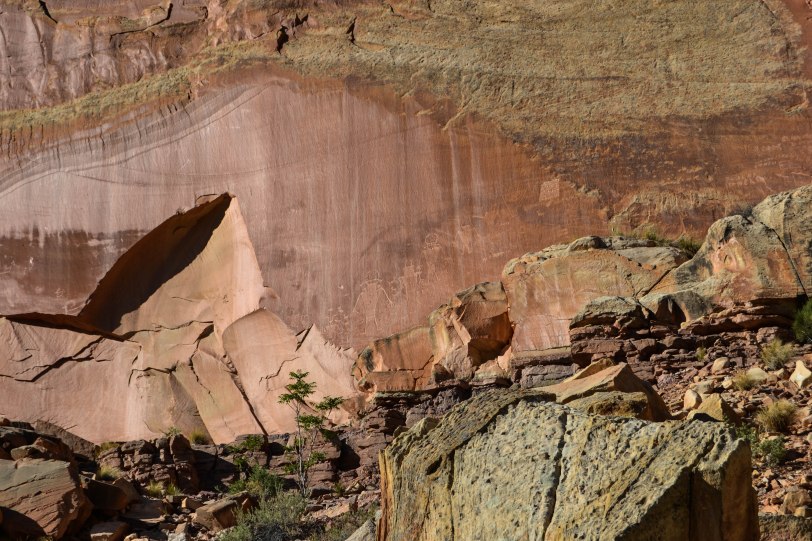 capitol-reef-national-park_27429582155_o