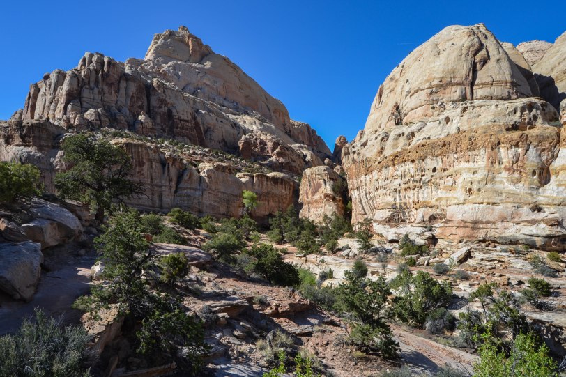 capitol-reef-national-park_27429584535_o