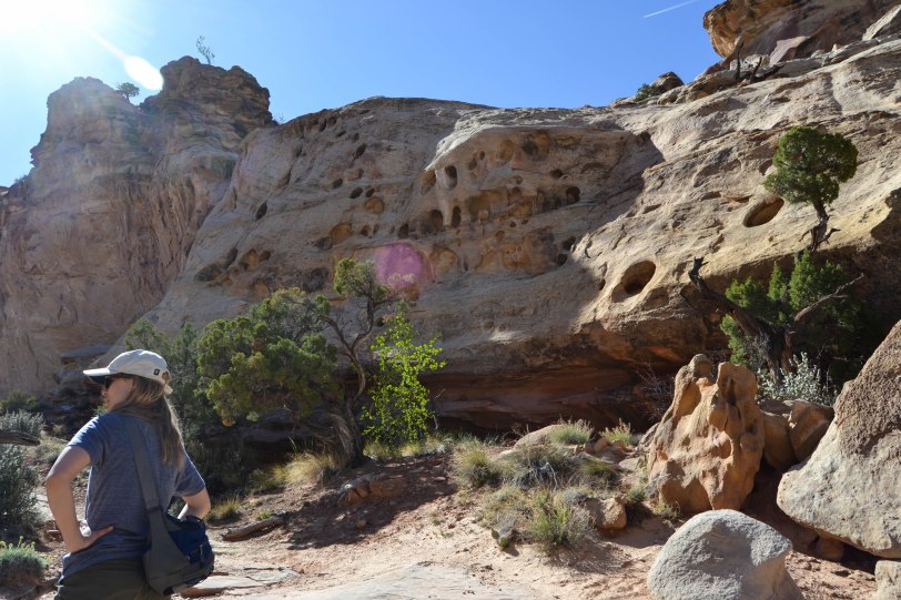 capitol-reef-national-park_27429585305_o