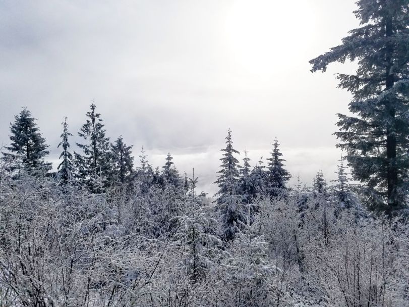 img_20170101_135441_571