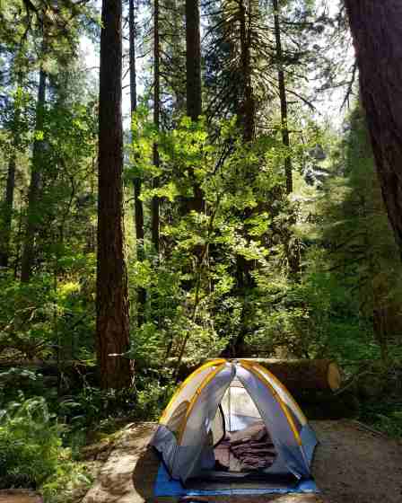 IMG_20170704_154340_185